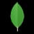 MongoDB